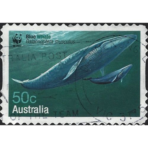 AUSTRALIA, MAMMAL, Blue Whale, green 2006, 50c