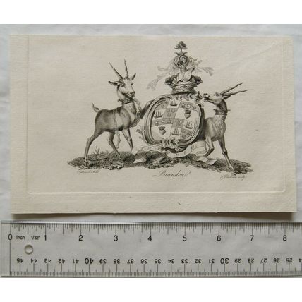 1790 engraving - coat of arms - Brandon