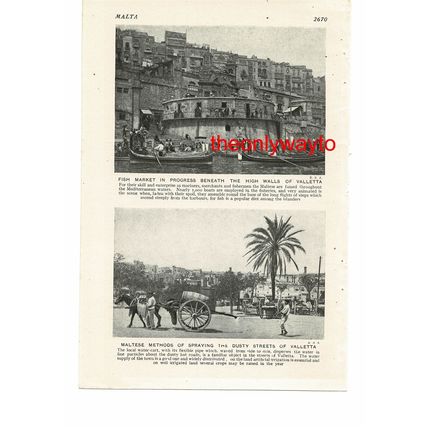 Selmun Island, Malta (Fishmarket & Street Spraying, Reverse), Book Illustration