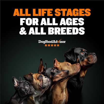 Bully Max High Performance Premium Dry Dog Food for All Ages - High Protein Natu