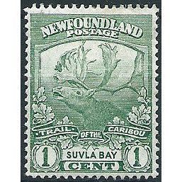 Newfoundland 1919 SG130 1c Green Mounted Mint