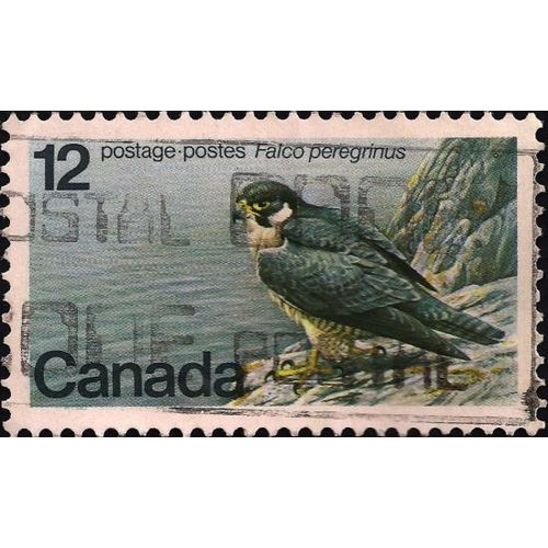 CANADA, BIRDS, Peregrine Falcon, blue 1978, 12c