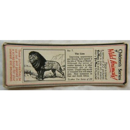 1955 Typhoo Wild Animals card 7 The Lion