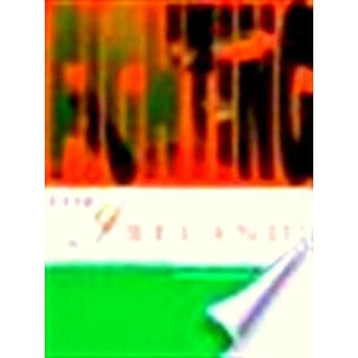Fighting for Ireland? - The Military Strategy of the Irish Republican Movement b