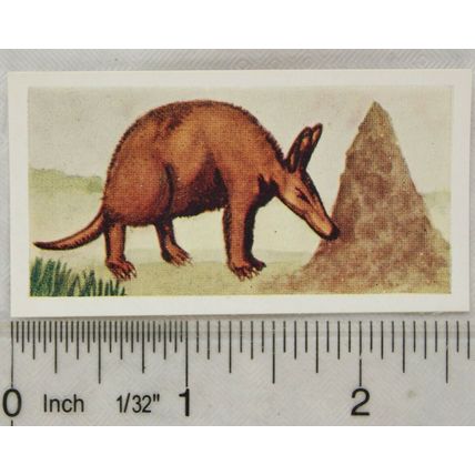 Neilson's Interesting Animals card No. 29 Ant Bear