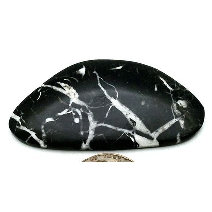 Black Septarian Freeform Gemstone Cabochon 475