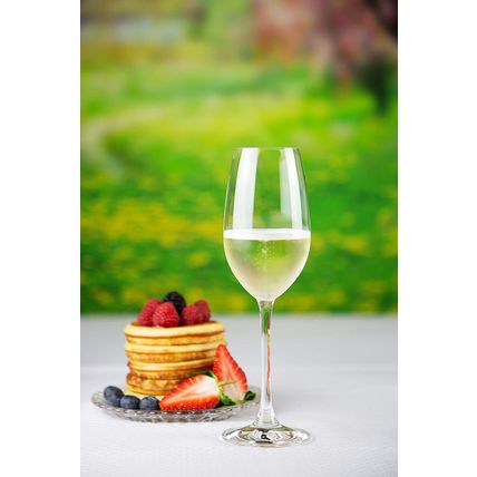 NACHTMANN Vivino Crystal Champagne Glass-Set of 4-Clear-9 fl oz-NEW-SEALED-FAST