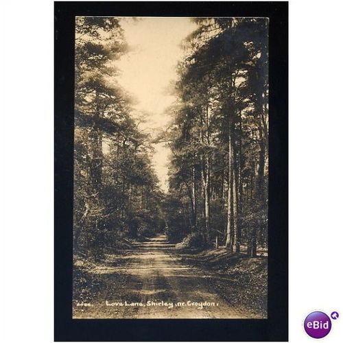 Surrey SHIRLEY Love Lane Postcard (2084)