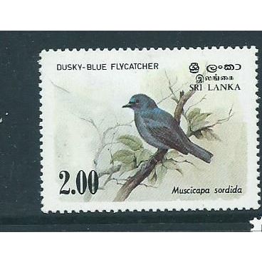 sri lanka birds sg829 hm sg 829