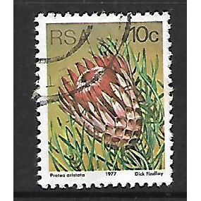 SOUTH AFRICA 1977 SUCCULENTS 10c P ARISTATA SG 423 FINE USED#