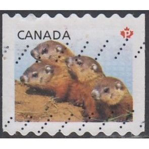 CANADA, 2013 'P' Juvenile Wildlife coil, SG 2706 (Scott #2604), used