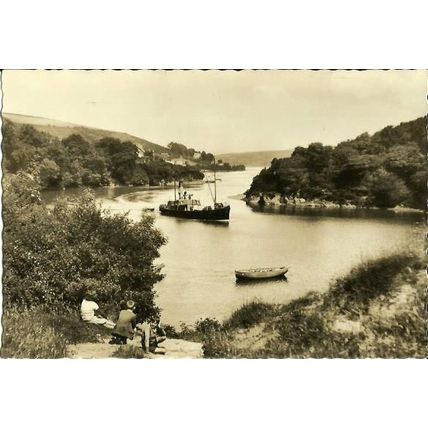 Wales ST DOGMAELS River Teifi Postcard (Valentine 217743)