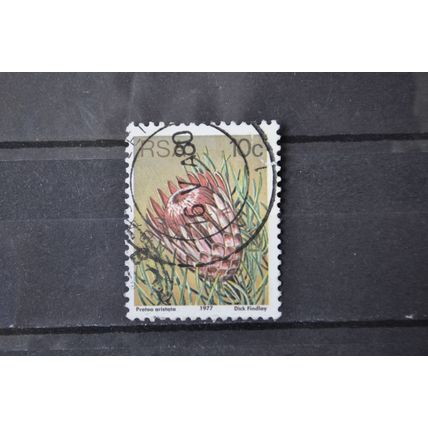 SOUTH AFRICA SG 0423 USED #2