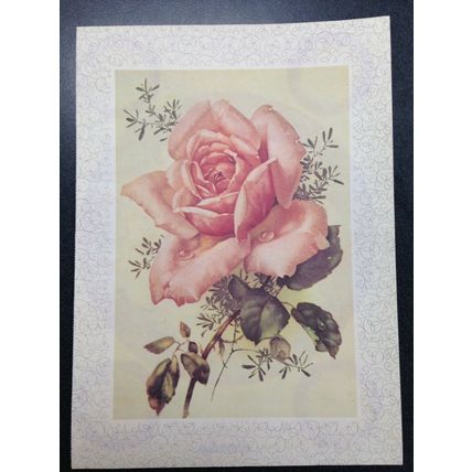 Woman's Day Magazine double sided page Rose photo and Rose Fever