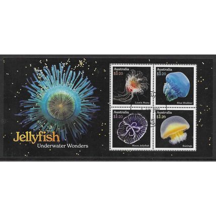 AUS 2023 'JELLYFISH' M/S FINE USED EBID80-543XL)