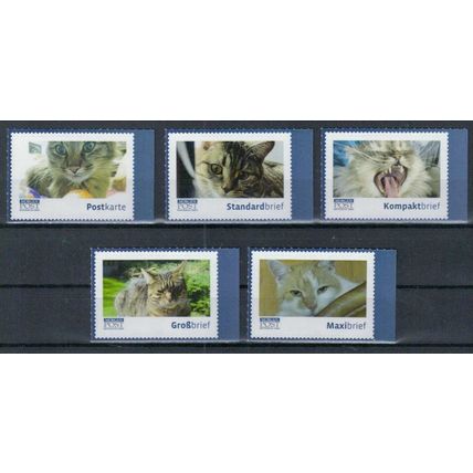 Hauskatzen / Domestic Cats **/MNH 2022
