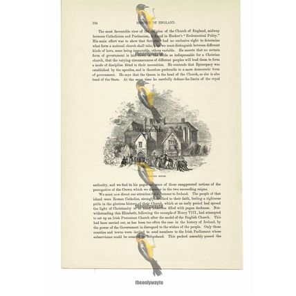 Clopton House, Near Stratford, Warks, Book Illustration (Print), c1870