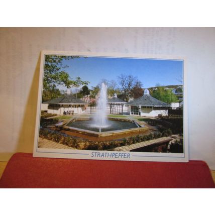 TOURIST INFO, STRATHPEFFER, ROSS-SHIRE, SCOTLAND unused postcard by John Hinde =