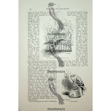 In Leadenhall Market, London, 8 Page Book Article, 1893