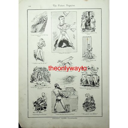 Cricket Terms, Illustrated, (Fruits Of Singapore On Reverse), Book Illustration