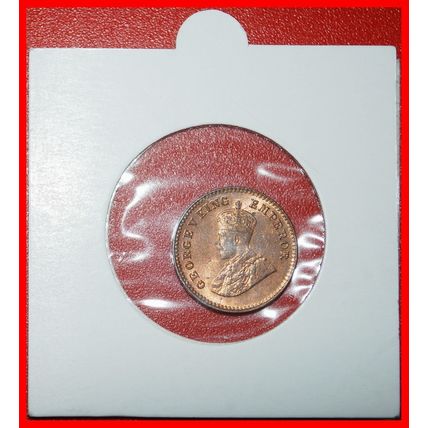 Ⰶ ELEPHANT (1912-1936):INDIA★1/12 ANNA 1921! I+B UNC HOLDER★LOW START★NO RESERVE