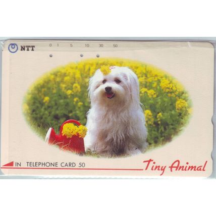 Dog In Flower Bed Japan NTT Phone Card