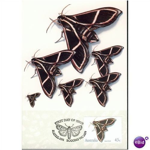 Australia FDI Postcard set 1991 - Insects