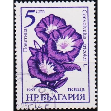 Bulgaria. 1985 5s S.G.3281 Used