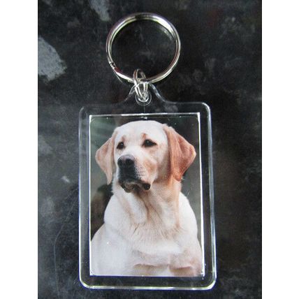 DOG BREED KEY RINGS QUALITY ACRYLIC DOUBLE SIDED PHOTO KEY RINGS 33 BREEDS