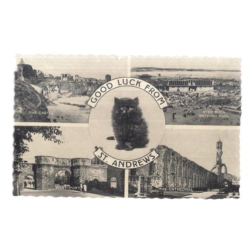 ST. ANDREWS, FIFE vintage unused postcard multiview. Step Rock Bathing Pool #