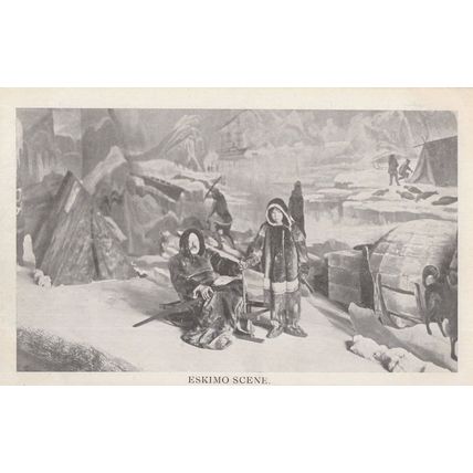 Eskimo Scene Antique Postcard