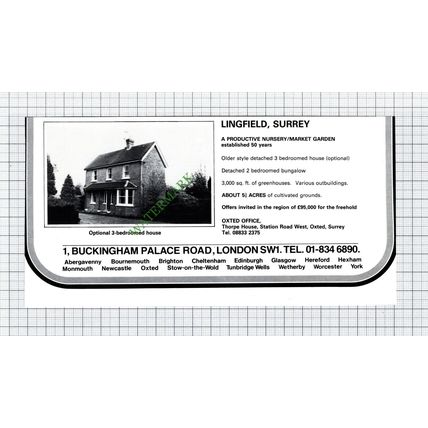 Lingfield Surrey House Sale Advert - 1981 Cutting