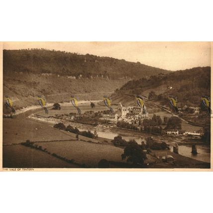 Vale of Tintern, Monmouthshire, Postcard
