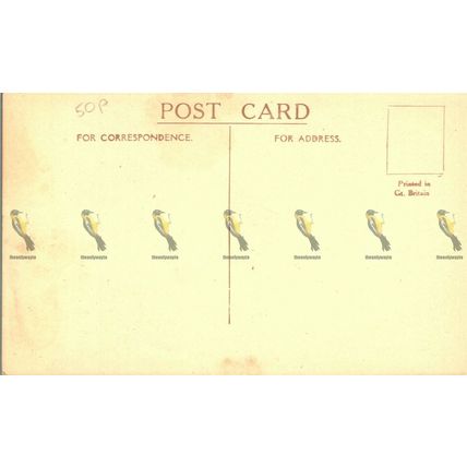 Vale of Tintern, Monmouthshire, Postcard