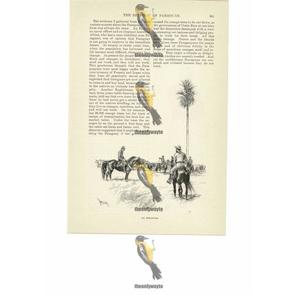An Estancia, Paraguay, Book Illustration (Print), 1891