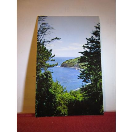 DURLSTON BAY AND HEADLAND, SWANAGE, DORSET used postcard PT2129 1966 pm =