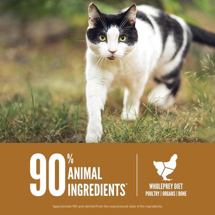 ORIJEN Original Cat, Grain Free Dry Cat Food for All Life Stages, with Wholeprey