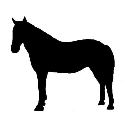 Morgan Horse Silhouette Equine Decal Black Sticker - Not Waterproof