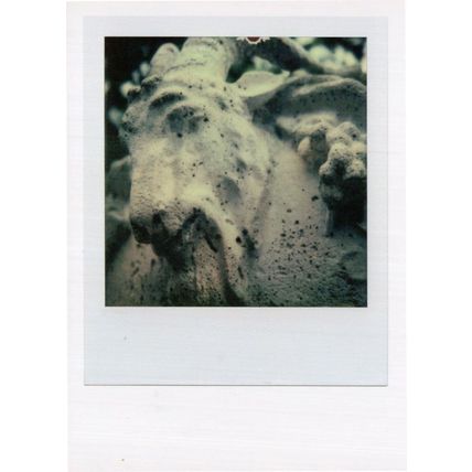 Rocky Mountain Shaped As Unicorn Horse Award Analog Photo Postcard