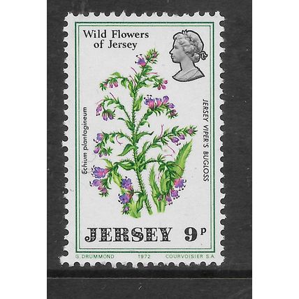 JERSEY 1972 WILD FLOWERS 9p JERSEY VIPERS BUGLOSS SG 70 M MINT