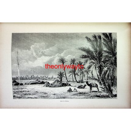 Biskra Oasis, Algeria, Book Illustration (Print), 1895