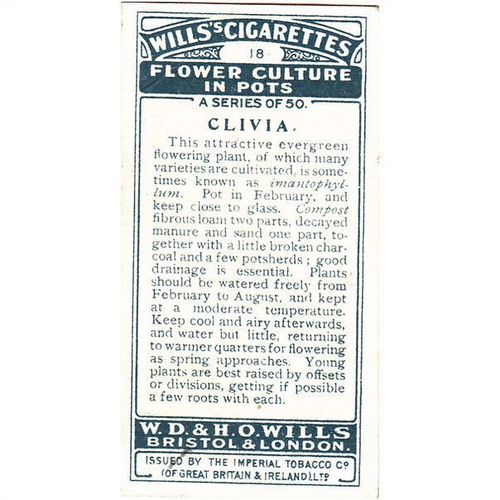 Wills Flower Culture In Pots Card No. 18 Clivia
