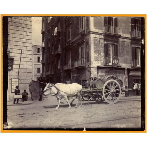 Original 12.5x10cm B/W Photograph - NAPLES - Street Scene - c.1910
