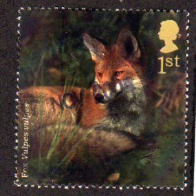 Great Britain 2004 Woodland Animals 1st Fox Used SG 2488 Sc 2237 postage stamp