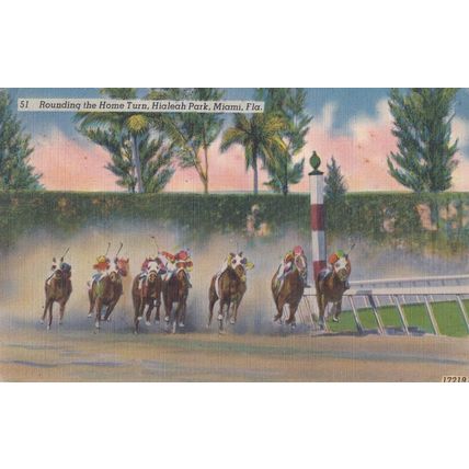 Finishing Post Horse Race Racing at Hialeah Park Miami Vintage USA Postcard