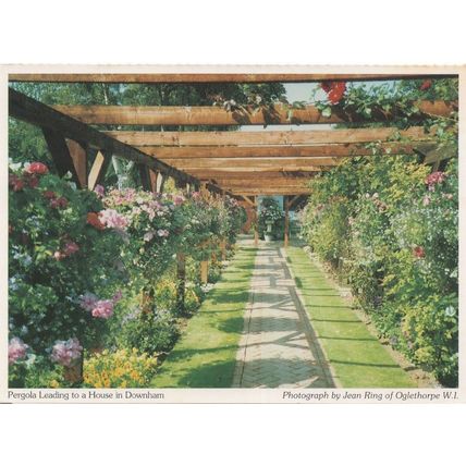 Downham Near Chelmsford Essex Pagoda Postcard