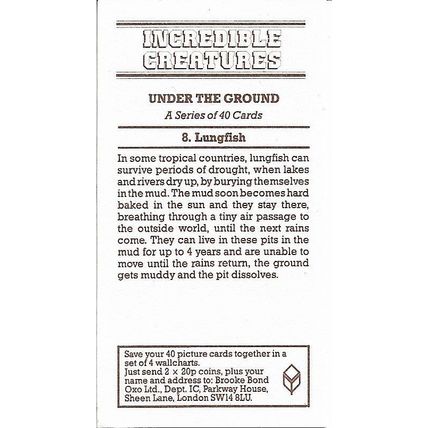 Incredible Creatures 1985 Brooke Bond Tea Card 8 - Lungfish