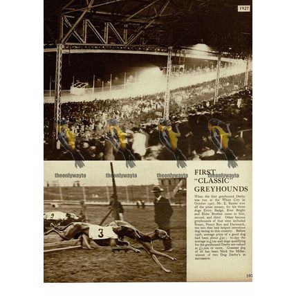 First Classic Greyhounds at White City, London, 1927, Book Illustration, 1938