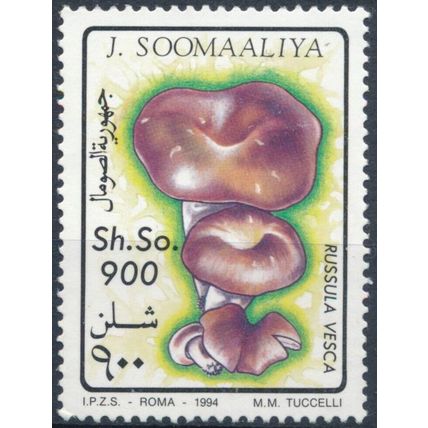Fungi: 900sh - Somalia 1994 - MNH - MiNr 505
