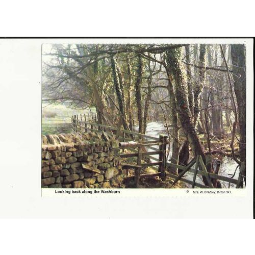 Yorkshire OTLEY River Washburn Postcard by Womens Institute
